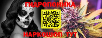стаф Камень-на-Оби