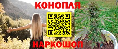 крисы Бузулук