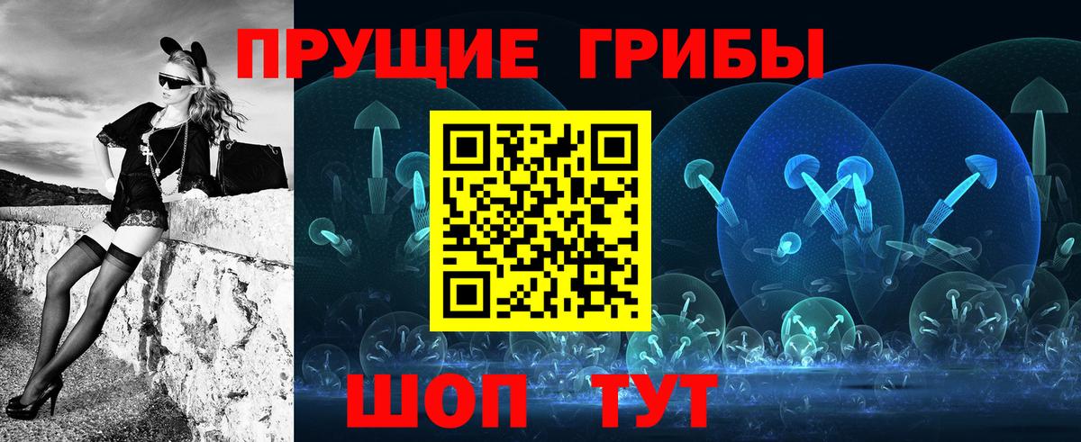Можайск  Галлюциногенные грибы Psilocybine cubensis  Галлюциногенные грибы Psilocybine cubensis  Вход с VPN 